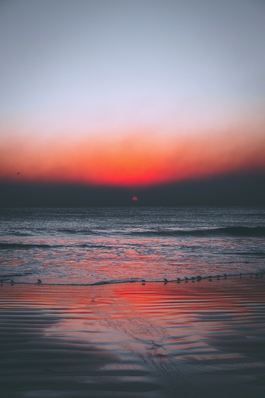 Venice Beach