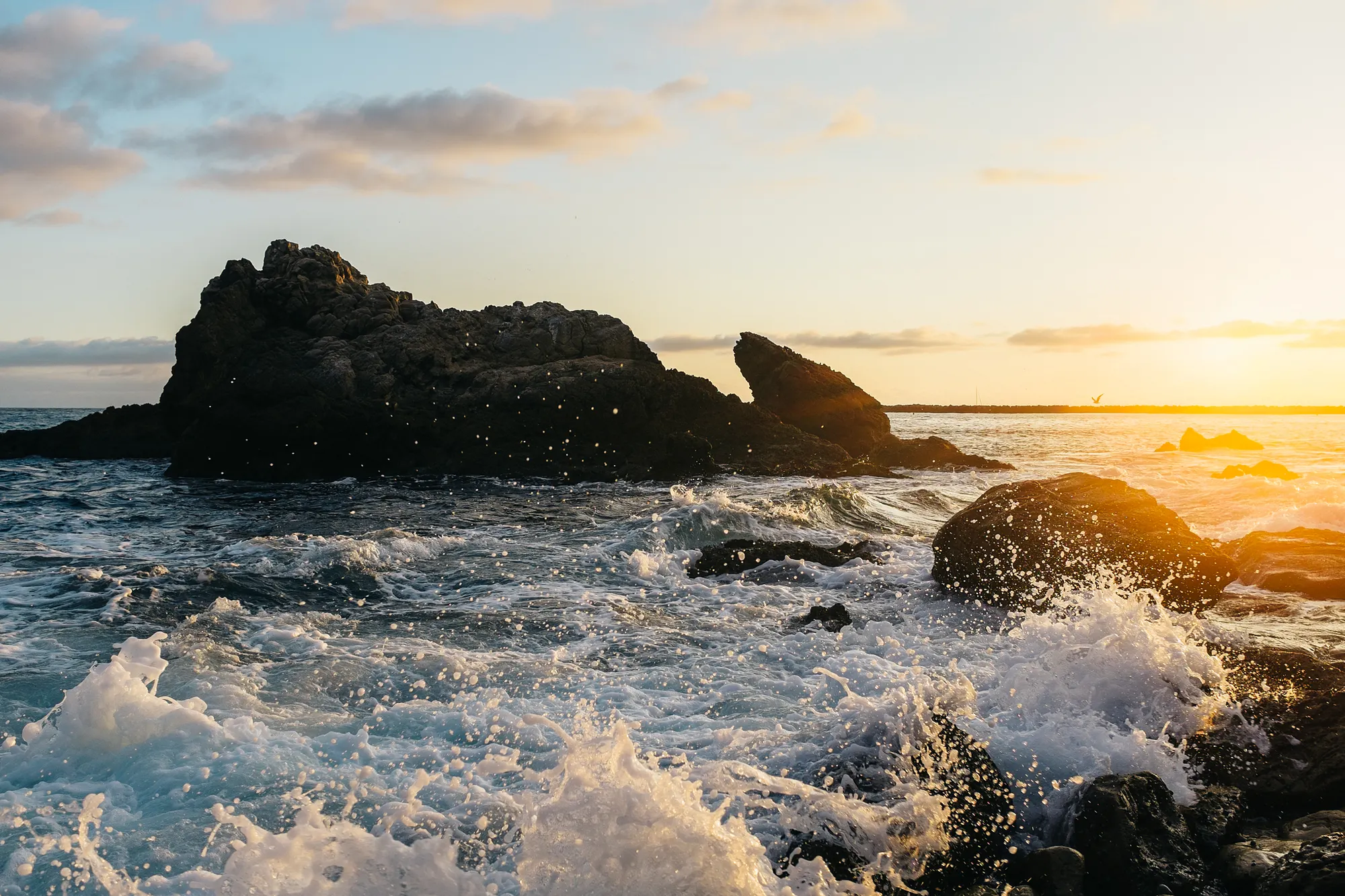 Yes, I somehow managed to get a crashing wave, a bird and of course the sunset in one shot!
