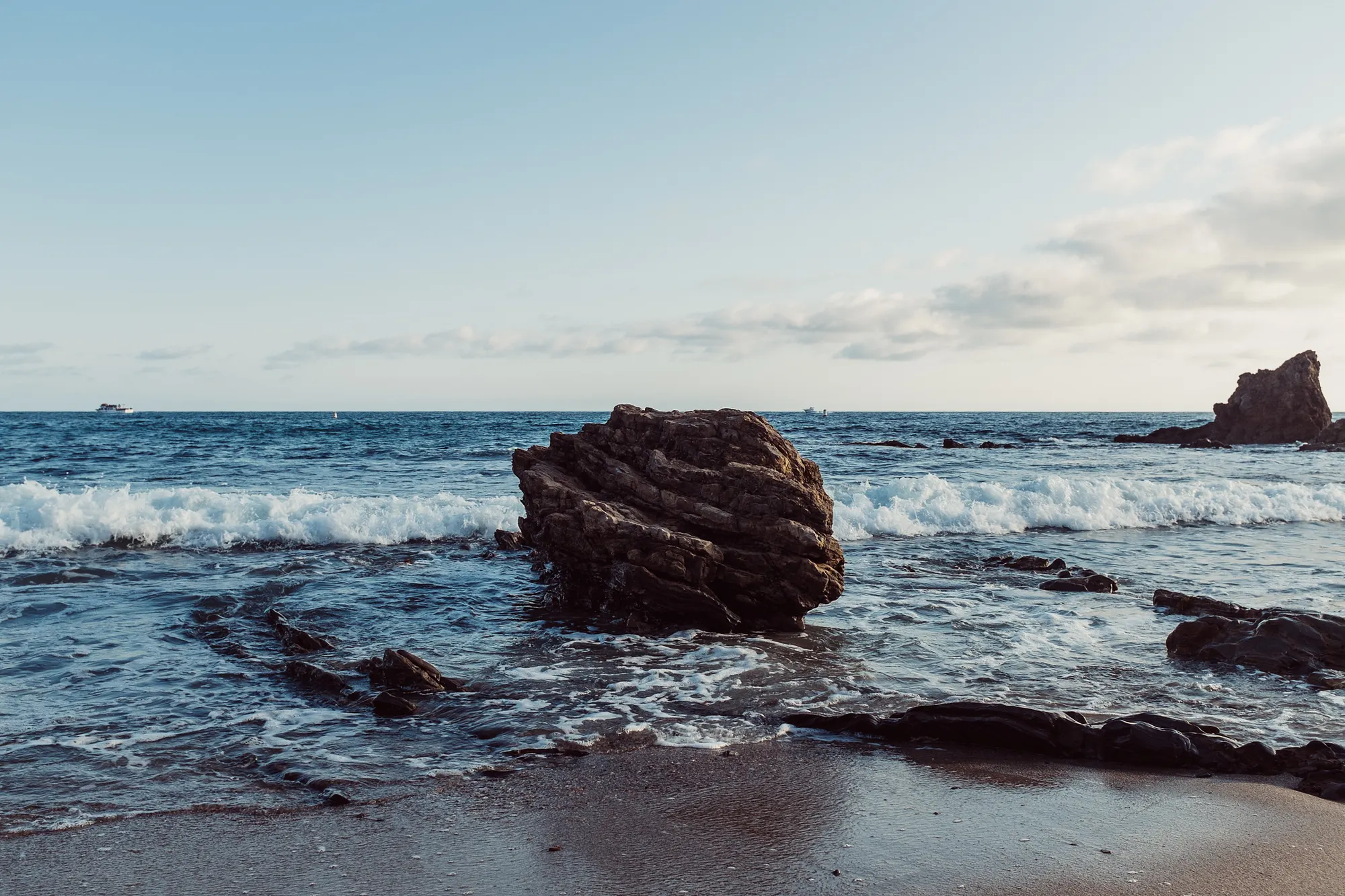 First sight spotted at the beach, moments before golden hour commenced